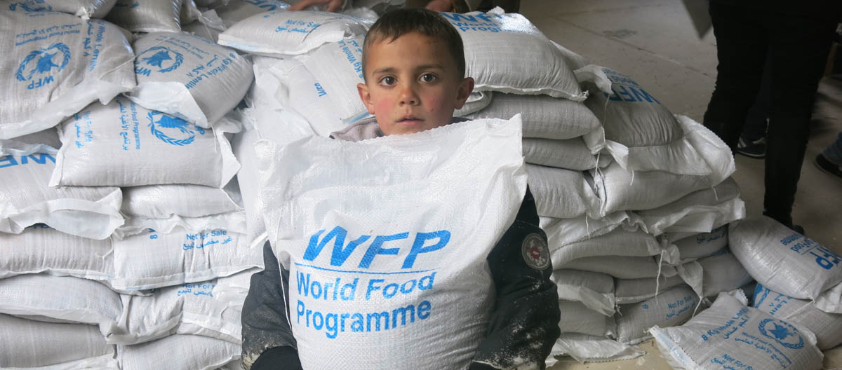 خطوات الحصول على المعونة الغذائية في فلسطين 2023