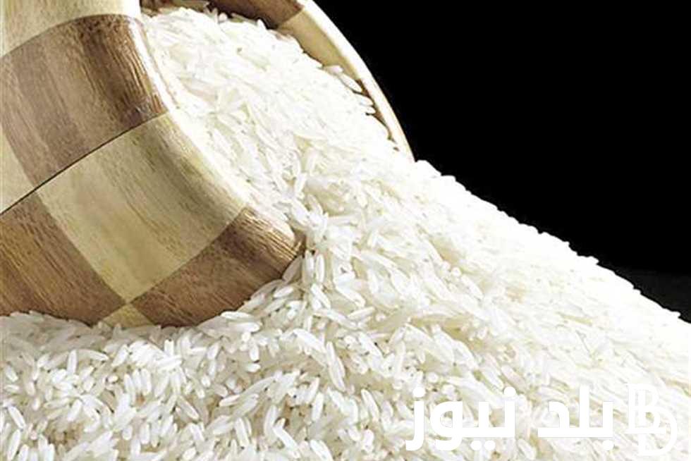 بكام الطن؟.. سعر طن الأرز الشعير اليوم السبت 9ديسمبر 2023 والسلع الغذائية للمستهلك بالاسواق في مصر