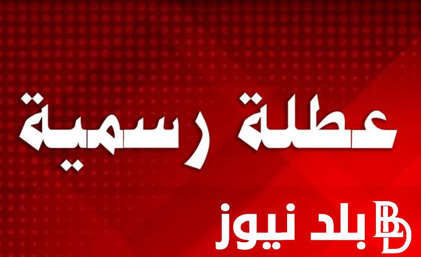 “عطلة ام دوام؟” هل يوم الأحد عطلة رسمية في العراق وفقاً لمجلس الوزارء العراقي
