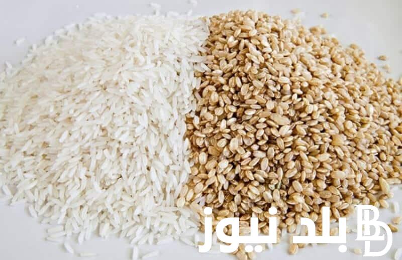 “بعد التراجع” سعر طن الأرز الشعير اليوم الاربعاء 10 يناير 2024 للمستهلك في الاسواق المصرية