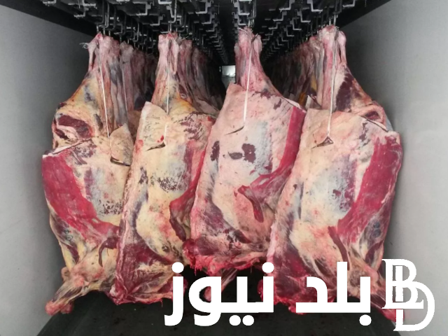 “جملي وبلدي” سعر كيلو اللحمة الجملي اليوم الاربعاء 28 فبراير 2024 للمستهلك في محلات الجزارة ومنافذ البيع