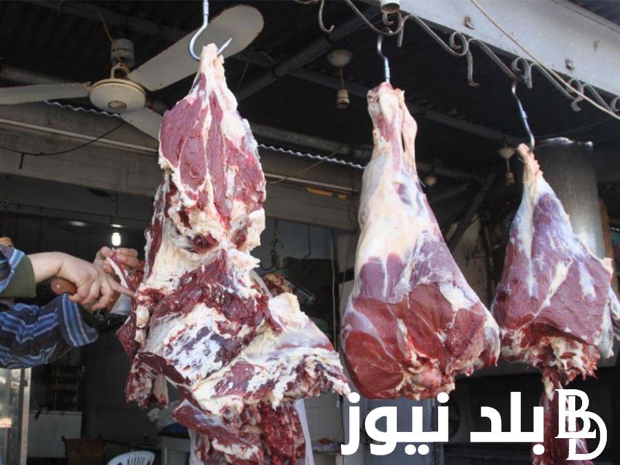 “بكام يا احمر” أسعار اللحوم اليوم الاربعاء 28 فبراير 2024 فى جميع الاسواق المصريه ومنافذ البيع