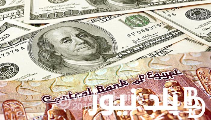 الاخضر بكام..؟ سعر الدولار مقابل الجنيه المصري اليوم الاربعاء 27 مارس 2024 فى السوق السوداء وجميع البنوك المصريه