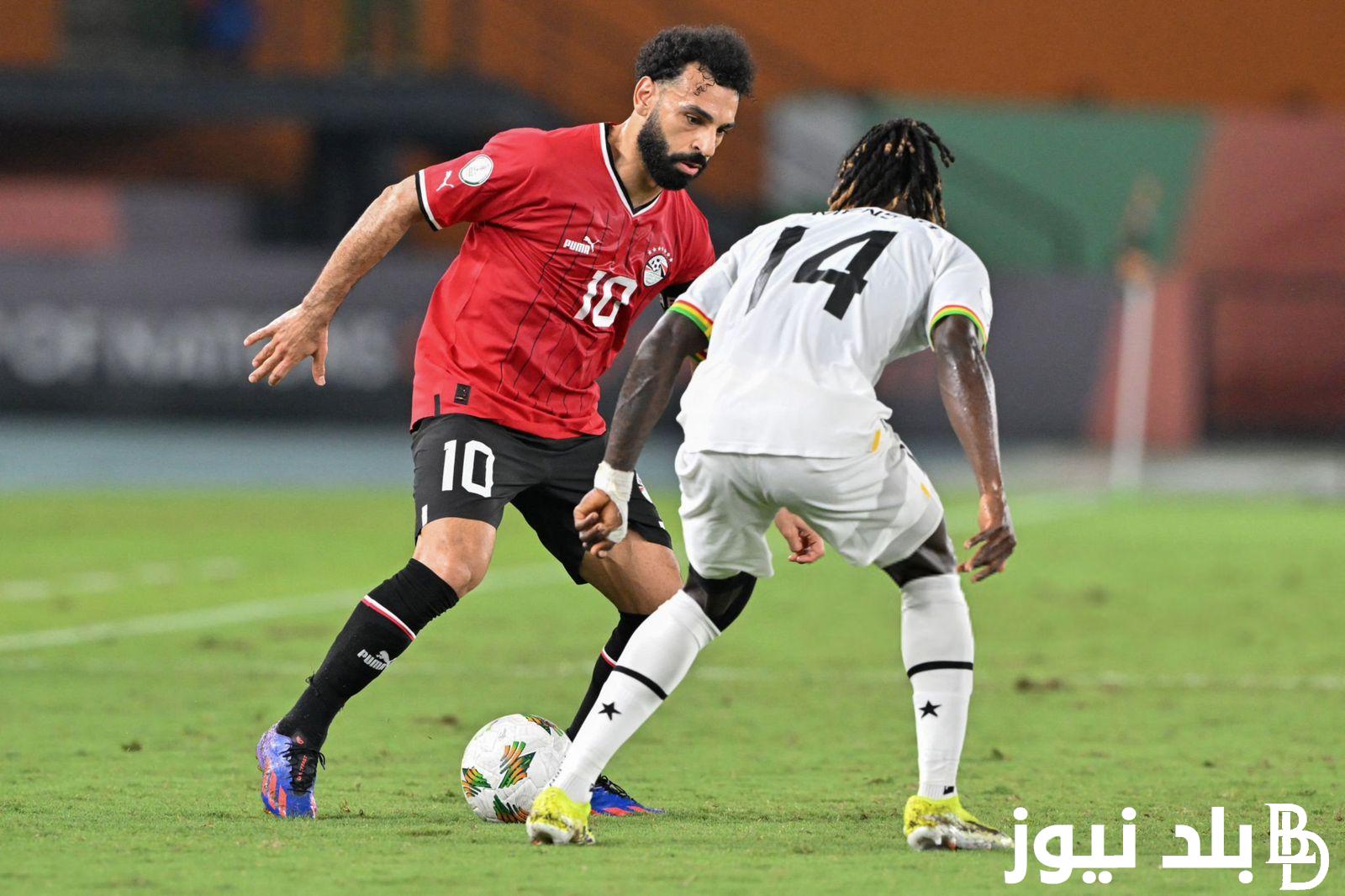“New Zealand vs Egypt” موعد مباراة منتخب مصر القادمة أمام نيوزيلاندا الودية والقنوات الناقلة مجاناً