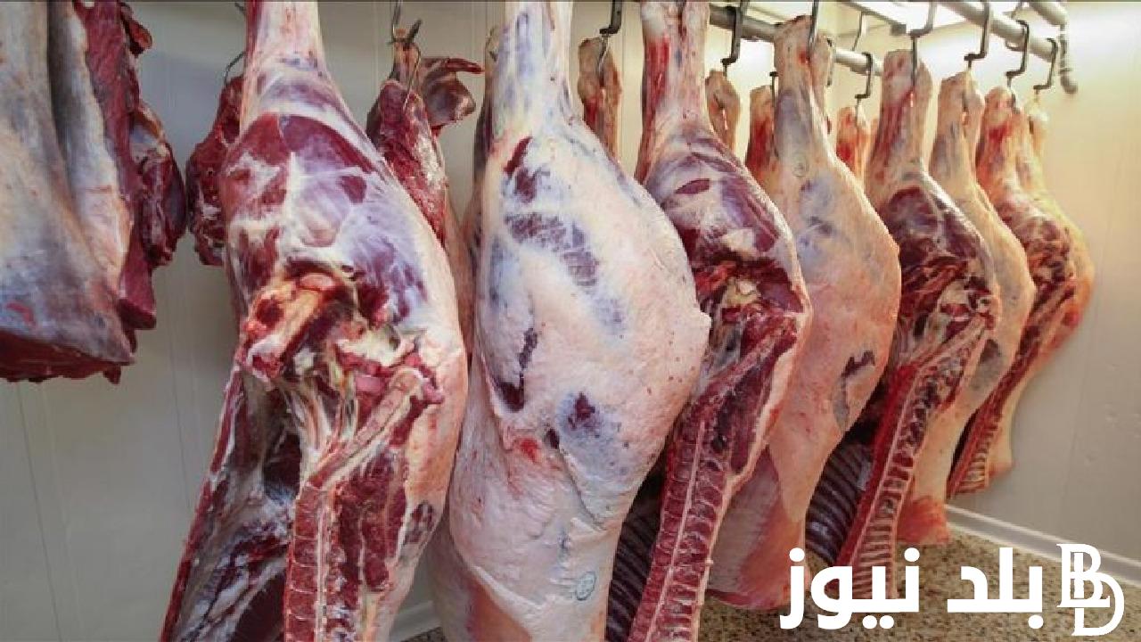 “بتلو وبلدي” اسعار اللحوم اليوم الخميس 21 مارس 2024 للمستهلك في محلات الجزارة ومنافذ البيع