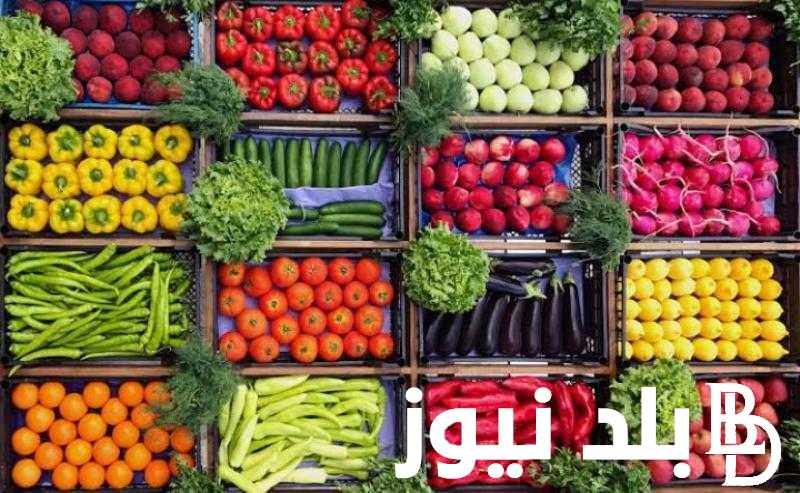 اسعار الخضار اليوم الاثين 15 ابريل 2024 تبعا للموقع الرسمي لسوق العبور