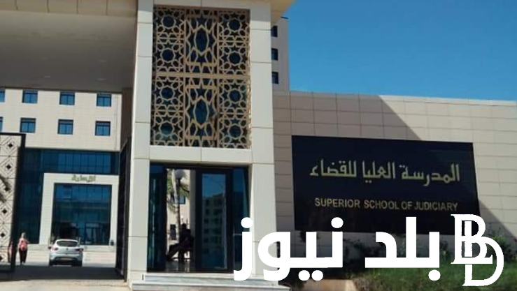 من هُنا.. شروط مسابقة القضاء 2024 بالجزائر لتوظيف 500 طالب والمستندات المطلوبة للاشتراك