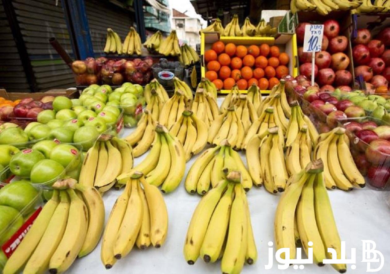أسعار الفاكهة اليوم الاثنين 27-5-2024 للمُستهلك بالاسواق المحلية.. الفراولة بـ12 ج