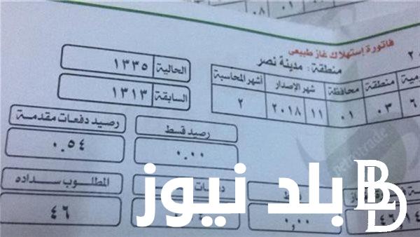” petrotrade.com.eg ” استعلام عن فاتورة الغاز لشهر مايو 2024 بالخطوات وتسجيل قراءة العداد