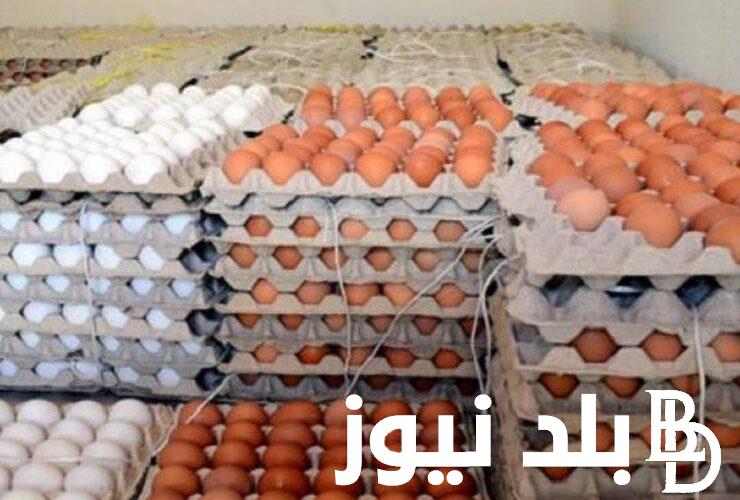”الأحمر بــ 155 جنيهًا” سعر كرتونة البيض اليوم الثلاثاء 9 مايو 2024 والأحمر والأبيض وأسعار الدواجن المجمدة في مصر