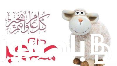 العد التنازلي.. موعد عيد الاضحى 2024 في الاردن للموظفين للقطاع العام والخاص.. الحكومة تُوضح