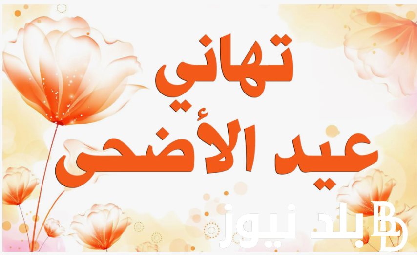 “ارسلها لحبايبك” رسائل تهنئة عيد الأضحى إسلامية.. كل عام وأنتم بخير تقبل الله منا ومنكم صالح الأعمال