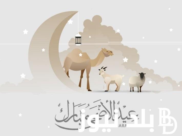 أروع رسائل تهنئة عيد الأضحى مكتوبة “عيد سعيد عليكم، وأدام رب العالمين عليكم جميع الأعياد دهورًا”