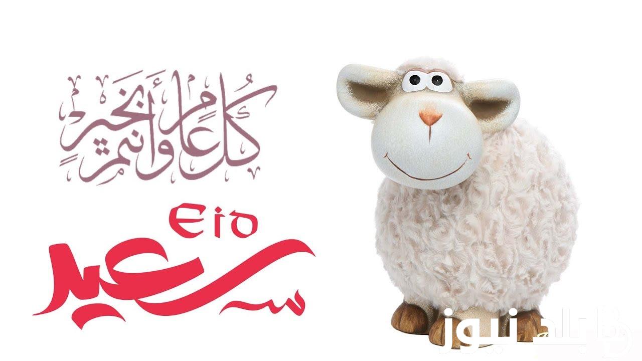 أفضل تهنئة عيد الأضحى كتابة 2024.. ” عيد أضحي سعيد عليما وعليكم وعلى جميع أحبابكم”