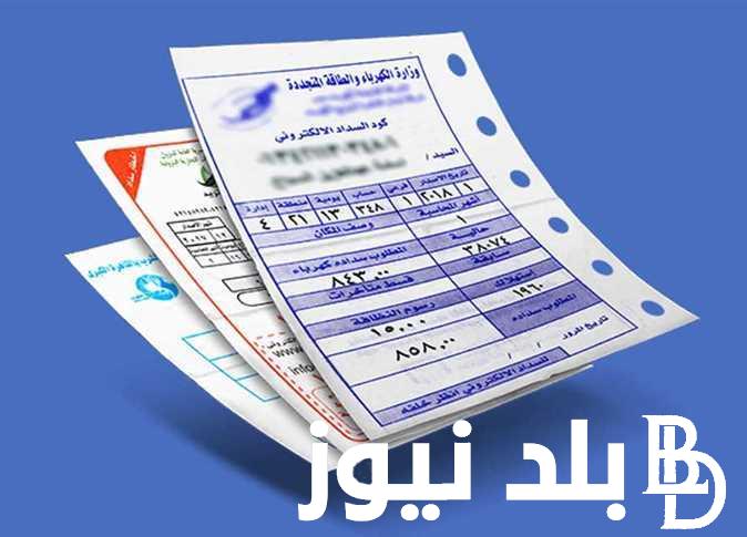 برقم العداد.. كيفية استعلام عن فاتورة الكهرباء عبر موقع وزارة الكهرباء moee.gov.eg بالخطوات اللازمة