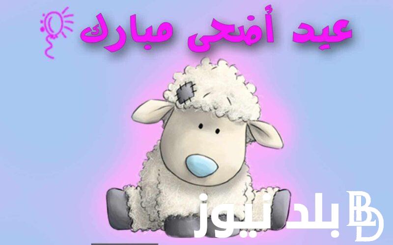 استعد للعدية و الزيارات العائلية.. موعد عيد الاضحى 2024 في الاردن مفتي المملكة يُعلن