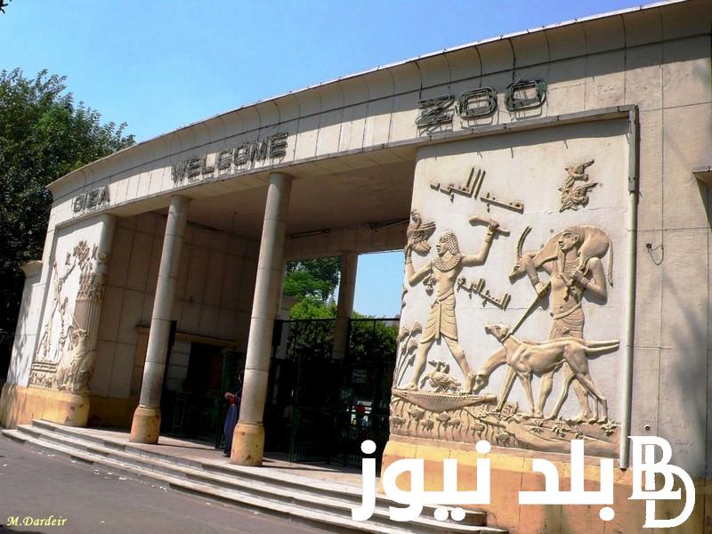 “مفتوحة ام لا” هل حديقة الحيوان مفتوحة الآن 2024 في العيد الاضحي المبارك