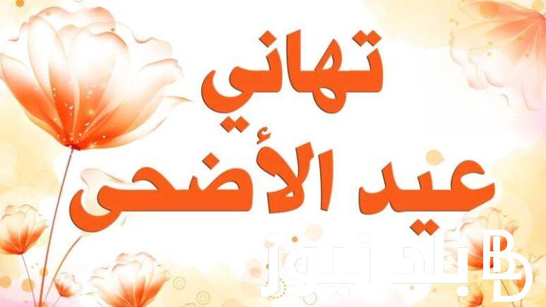 +500 رسالة تهنئة عيد الأضحى كتابة.. عساكم من عوادة