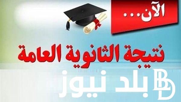 هُنا.. لينك نتائج الثانوية العامة 2024 اليمن عبر موقع وزارة التربية اليمنية moe-ye.net
