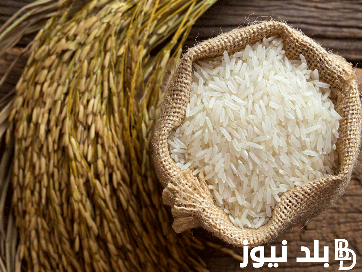 “عريض ورفيع الحبه” سعر طن الأرز الشعير اليوم السبت 27 يوليو 2024 في مصر بجميع المحلات والأسواق التجارية للمستهلك