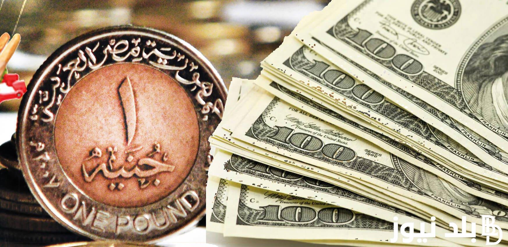 “الأخضر مولعها” سعر الدولار في السوق السوداء اليوم لحظة بلحظة السبت 6 يوليو 2024 وفي البنوك المصرية