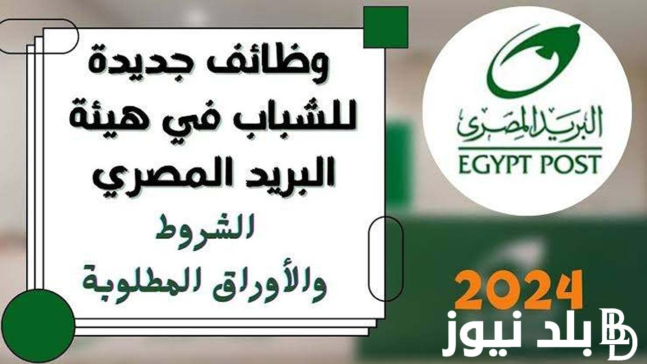 الاستعلام عن نتيجة مسابقة البريد المصري 2024 عبر بوابة الوظائف الحكومية