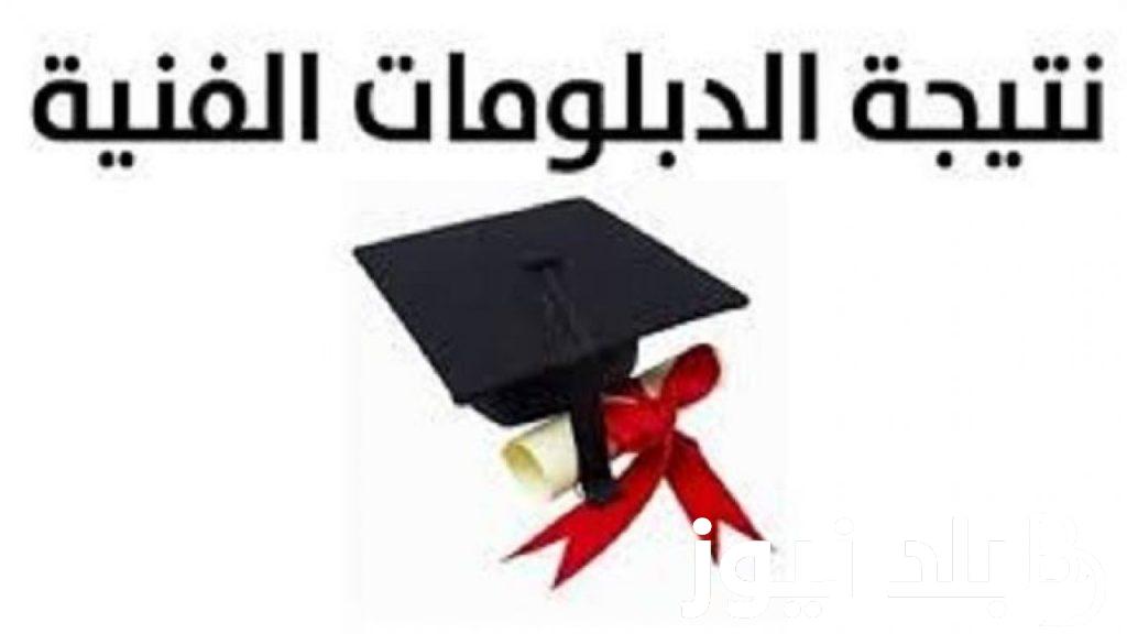 (اسماء الأوائل) نتيجة الدبلومات الفنية التجارية والصناعية والزراعية 2024 ورابط الاستعلام عبر بوابة التعليم الفني fany.emis.gov.eg