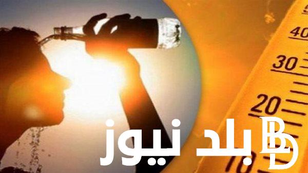 استمرار الموجة الحارة.. هيئة الارصاد الجوية حالة الطقس غدا الثلاثاء 23 يوليو 2024 ودرجات الحرارة المتوقعة