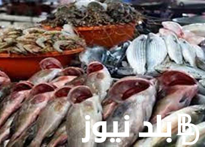 “السمك رفع” اسعار السمك البطلى اليوم الاربعاء الموافق 21 اغسطس 2024 فى سوق العبور
