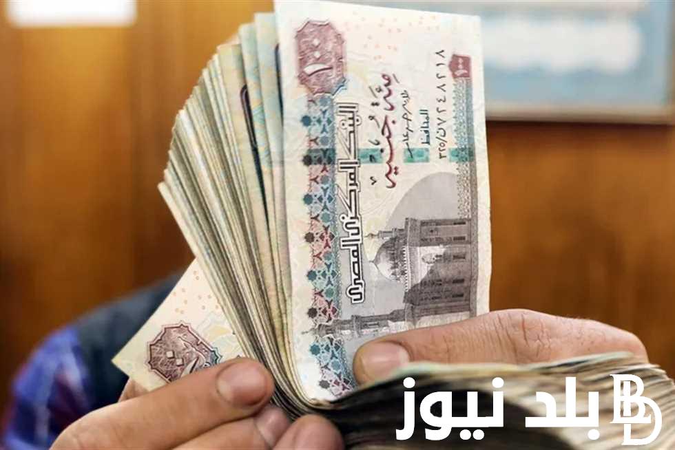 “خبر سعيد لأصحاب المعاشات” زيادة المعاشات سبتمبر 2024.. التأمنيات تُعلن تفاصيل الزيادة الجديدة 15% لكافة المستحقين