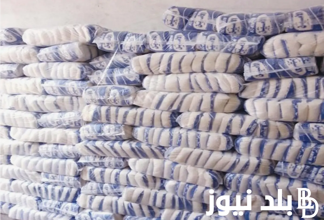 السكر زاد ولا لا؟ سعر السكر اليوم في التموين 2024 بعد وقف صرف السكر الحر على البطاقة التموينية