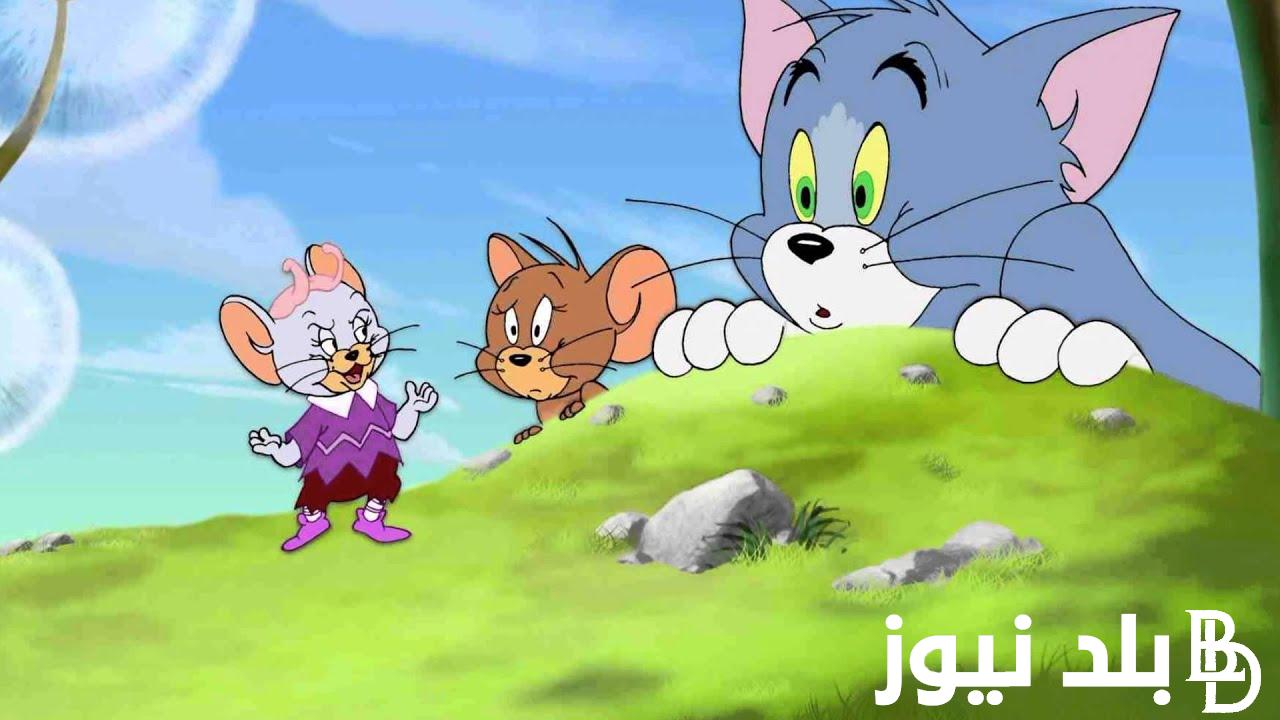 “ثبت الآن” .. تردد قناة توم وجيري 24 ساعة نايل سات وعرب سات لمشاهدة بجوده عاليه على مدار الـ 24 ساعه