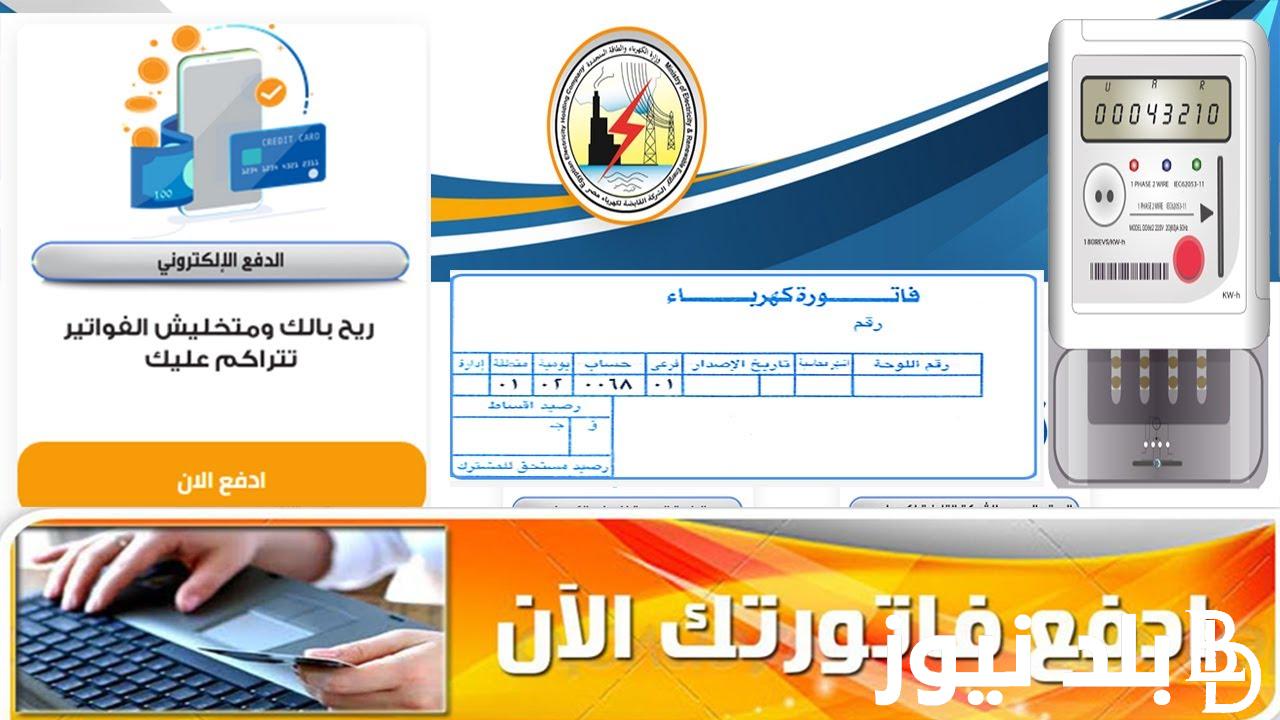 استعلم وسدد.. رابط الاستعلام عن فاتورة الكهرباء برقم العداد 2024 لشهر اغسطس عبر moee.gov.eg