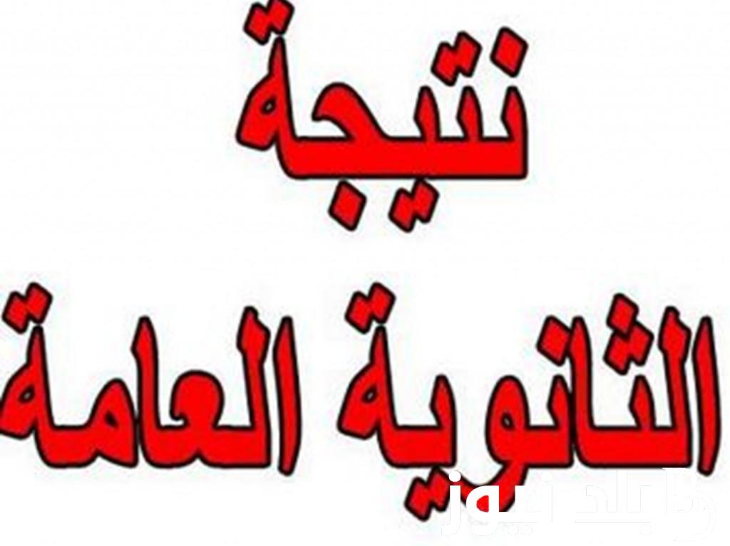 موعد ظهور نتيجة الثانوية العامة 2024 اليوم السابع| ورابط الاستعلام عبر الموقع الرسمي لوزارة التربية والتعليم moe.gov.eg