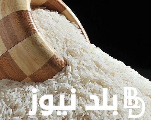 “رفيع وعريض الحبه” سعر طن الأرز الشعير اليوم الاحد الموافق 1 سبتمبر 2024 للمستهلكين في المحلات التجارية
