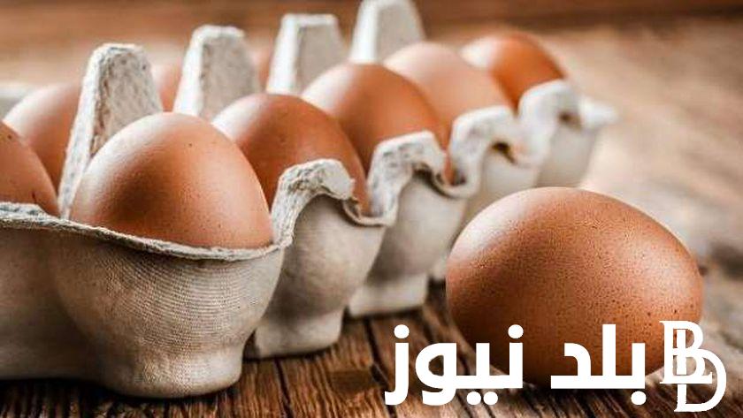 “أحمر، أبيض، بلدي” سعر كرتونة البيض اليوم للمستهلك الاحد 8/9/2024 في السوق المحلية بالجُملة