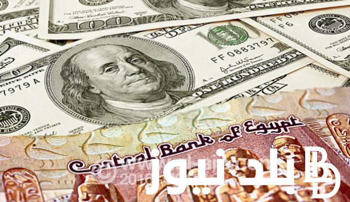 “ثبات الاخضر” سعر الدولار اليوم في السوق السوداء اليوم الاثنين الموافق 2024/9/23 وفي البنوك المصرية