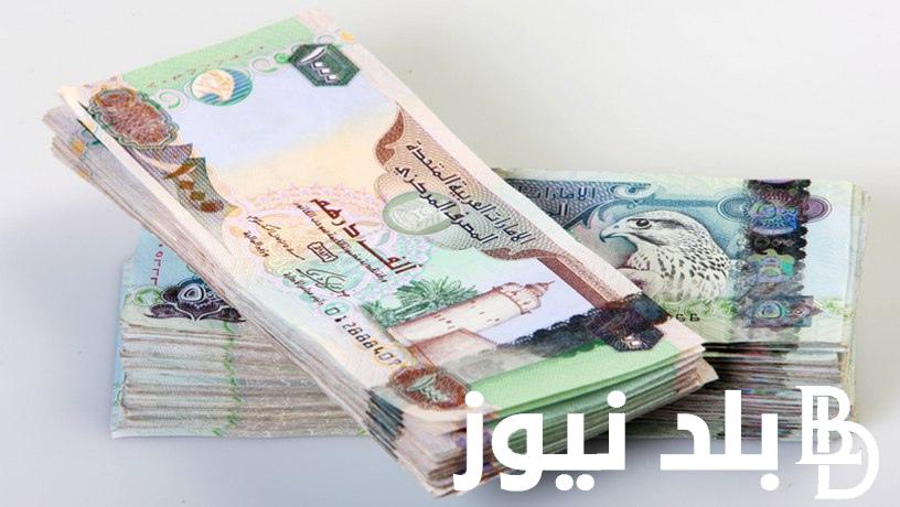 تحديث لحظة بلحظة.. سعر الدرهم الاماراتي اليوم السبت 21 سبتمبر 2024 في البنوك المصرية والسوق السوداء