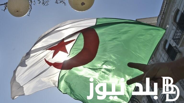 أعرفى خطوات التسجيل فى منحة المرأة الماكثة فى البيت والأوراق المطلوبة للحصول على منحة المرأة الماكثة فى البيت