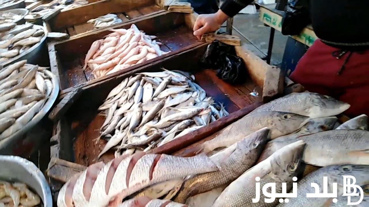 البلطى بكام ؟ أسعار السمك اليوم للمستهلك الاثنين 30 سبتمبر 2024 داخل الاسواق والمحلات التجارية