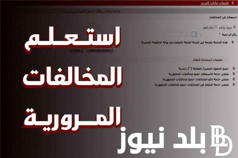 استعلام عن مخالفات المرور مجانًا برقم السيارة 2024 عبر موقع النيابة العامة ppo.gov.eg
