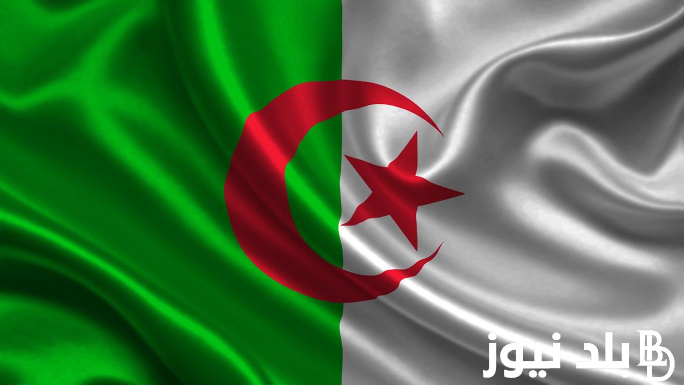 “قدمى على المنحة” شروط التسجيل فى منحة المرأة الماكثة فى المنزل وكيفية التسجيل في منحة المرأة الماكثة في المنزل 2024