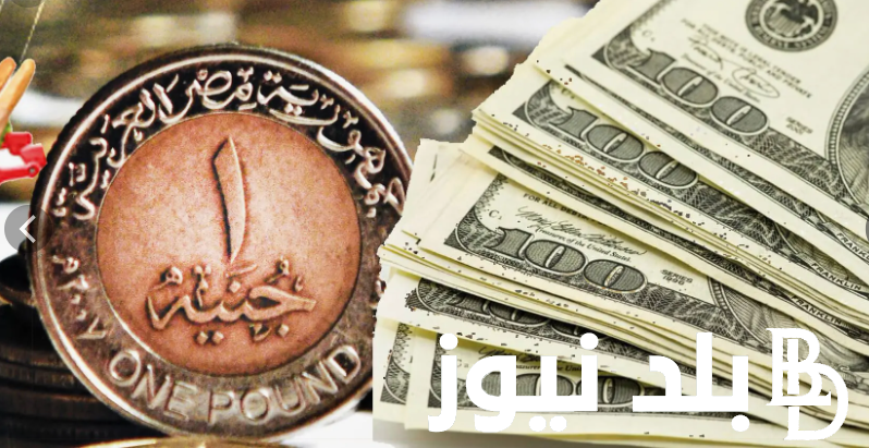 “الامريكانى في حاله استقرار” سعر الدولار اليوم البنك الاهلي الثلاثاء الموافق 2024/10/1 وفي السوق السوداء
