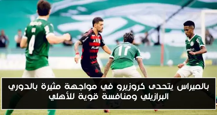 بالميراس يتحدى كروزيرو في مواجهة مثيرة بالدوري البرازيلي ومنافسة قوية للأهلي